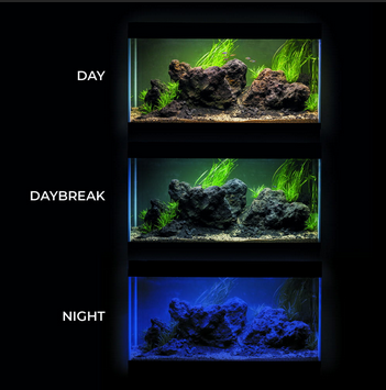 Acvariu cu capac Aquael Classic Box 25l iluminare zi&noapte